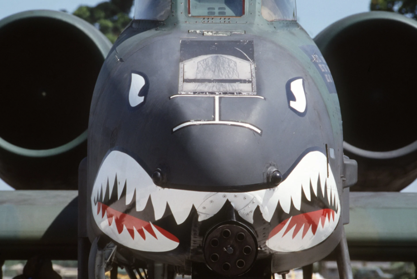 Why Does the A-10 Go BRRRT? The Warthog, GAU-8 Avenger, and a Close Air Support Legend