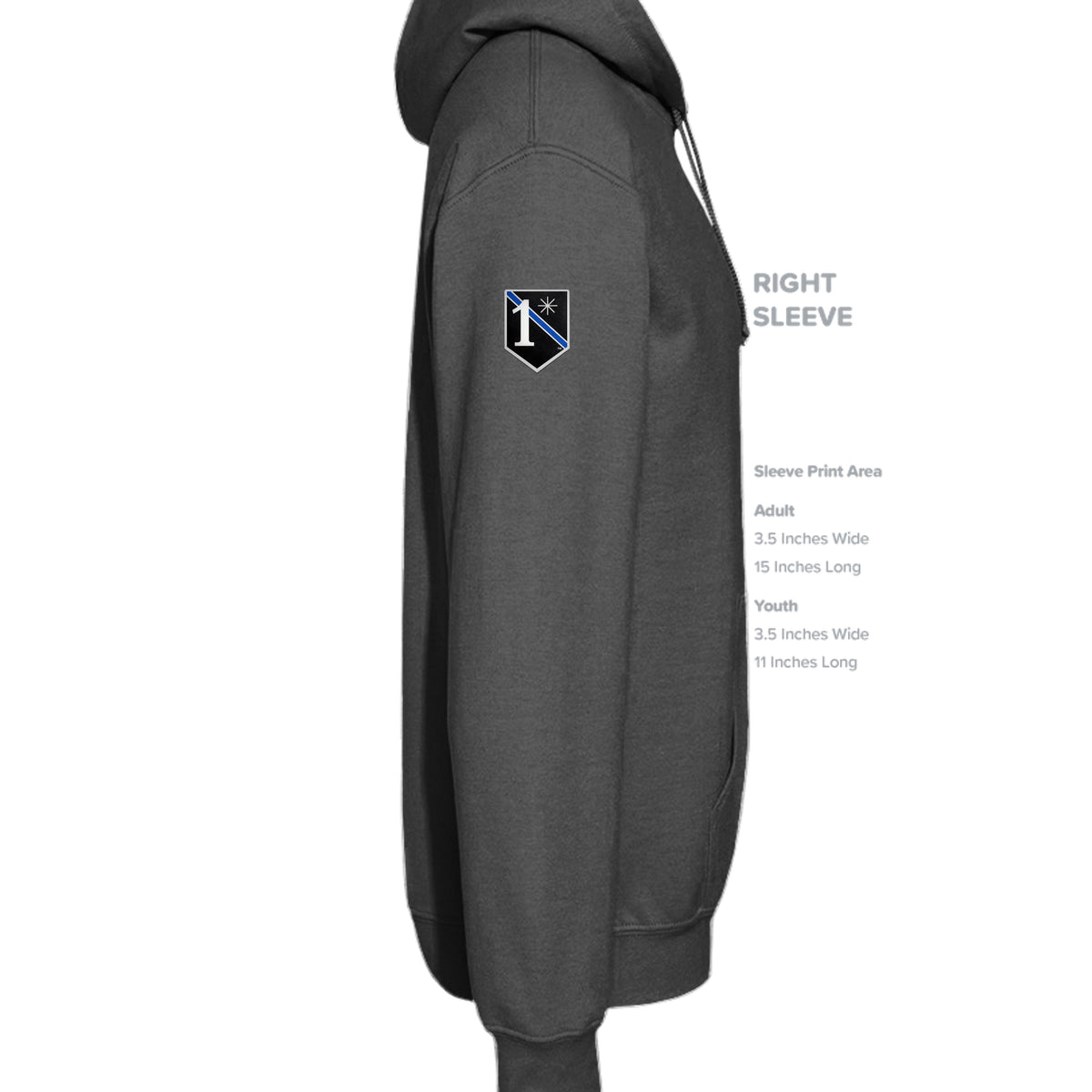 SWAT Eagle Hoodie - Charcoal (Right Sleeve) | Ironsight Syndicate